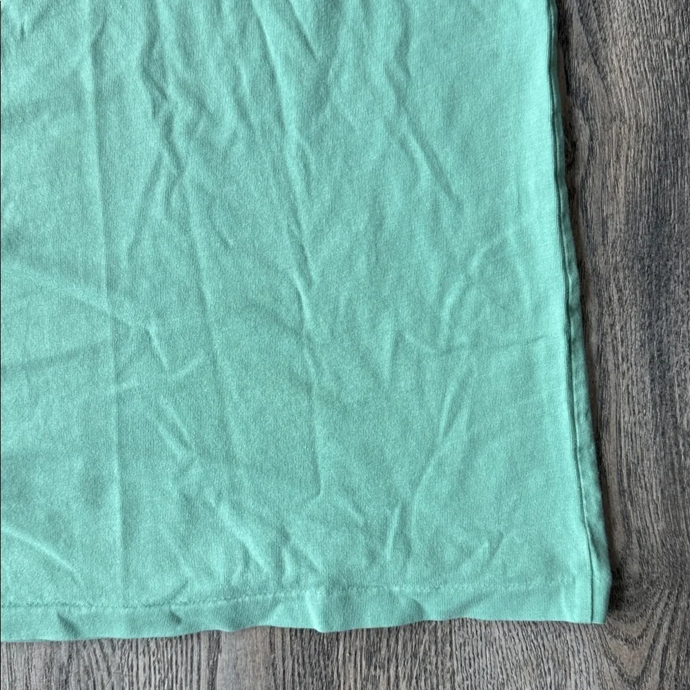 Polo Ralph Lauren Tee Green Cotton Classic Fit Jersey V-Neck T-Shirt Size Medium